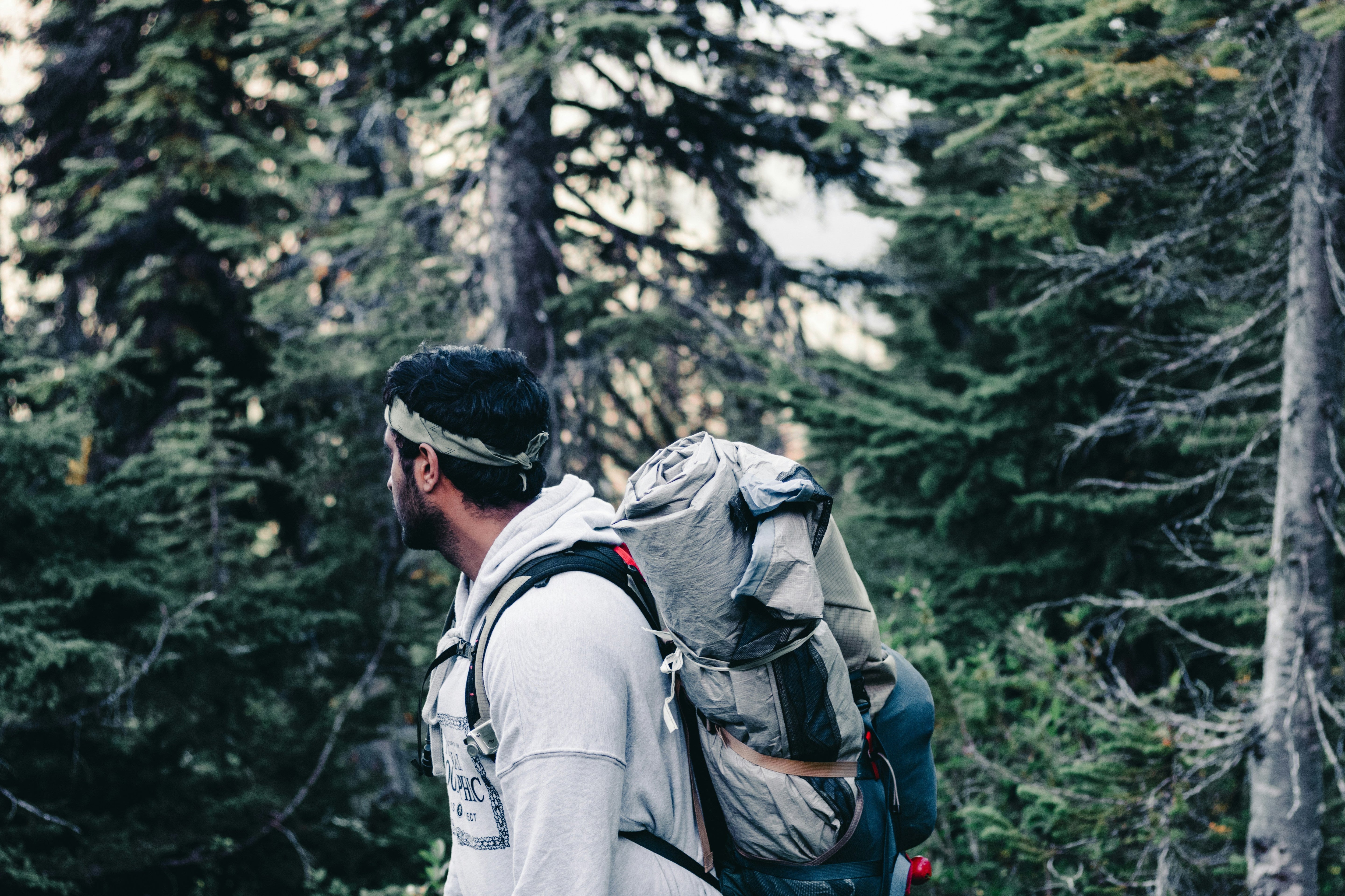 🏕️ 3 Reasons Why Camping and Hiking Are Great – The Ultimate Choice for Body and Mind