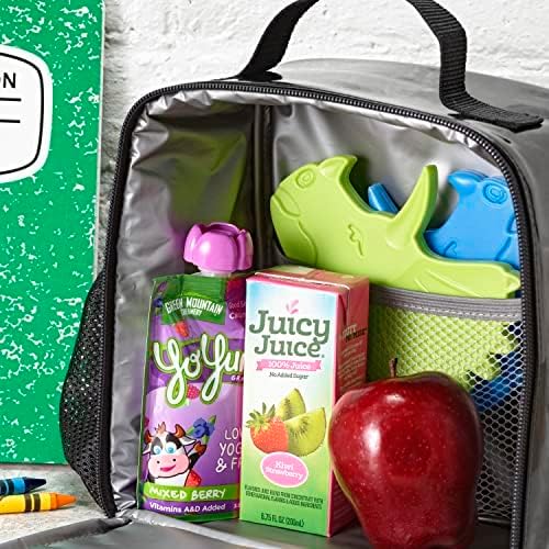 Fit & Fresh Cool Coolers Kids Lunch Box Ice Packs, Slim Ice Packs for Lunch Bags, Lunch Ice Packs Reusable-Multicolored 8 Pack Dino