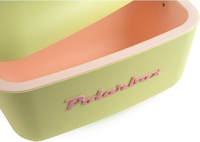 Retro Beach Cooler Vintage Picnic Lunch Box Bag Portable Cooler Travel Camping Hiking 90s Style Ice Chest