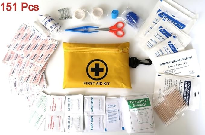 Galaxy 251 Pcs First Aid Kits for Survival Emergency Trauma Military Combat Tactical Medical Hunting Camping Hiking IFAK EMT Bag (__151 Pcs Mini First Aid Kits)