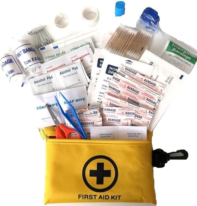 Galaxy 251 Pcs First Aid Kits for Survival Emergency Trauma Military Combat Tactical Medical Hunting Camping Hiking IFAK EMT Bag (__151 Pcs Mini First Aid Kits)