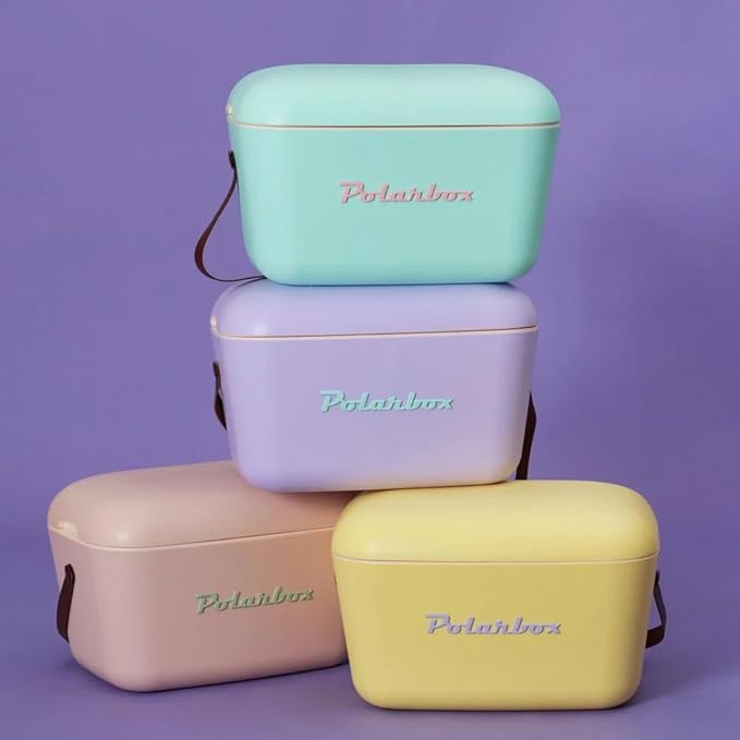 Retro Beach Cooler Vintage Picnic Lunch Box Bag Portable Cooler Travel Camping Hiking 90s Style Ice Chest