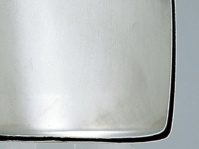 Snow Peak Double Wall Titanimum Insulated Mug, Lightweight, Durable, Camping, 300ml