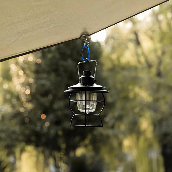 6 Pack Small Locking Carabiner Clips - 3 Inch Aluminum Alloy D-Ring Key Hooks with Twist Lock, Secure for Keys, Pet Leash, Travel Accessories (Not for Climbing)