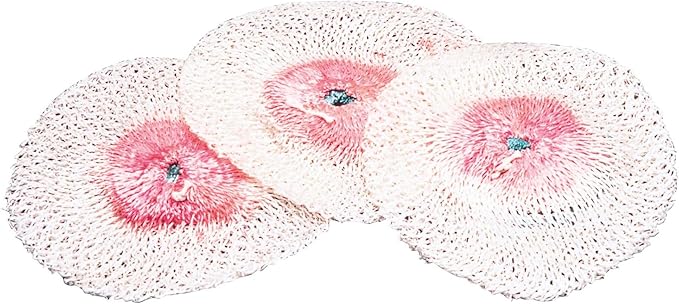 Coleman Camping Gaz C270 Replacement Mantles (3-Pack)