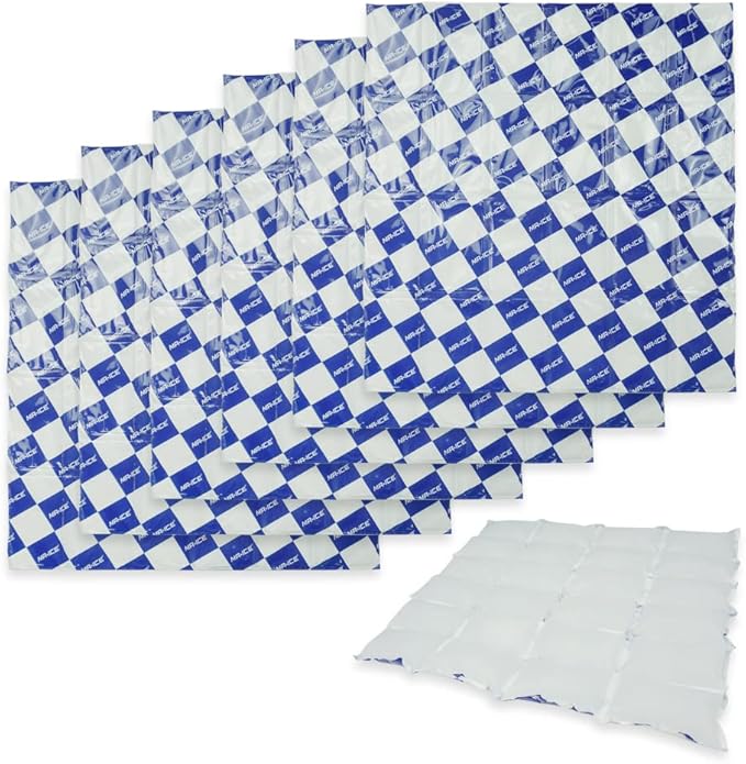 Reusable Dry Ice Packs for Shipping & Storage - Long Lasting Cold Packs for Lunch Box & Coolers - Ideal for Frozen Food & Drinks