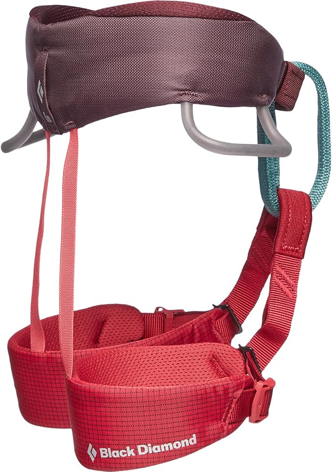 BLACK DIAMOND Kids Momentum Climbing Harness, One Size, Fits Most Children Between 35-80 lbs