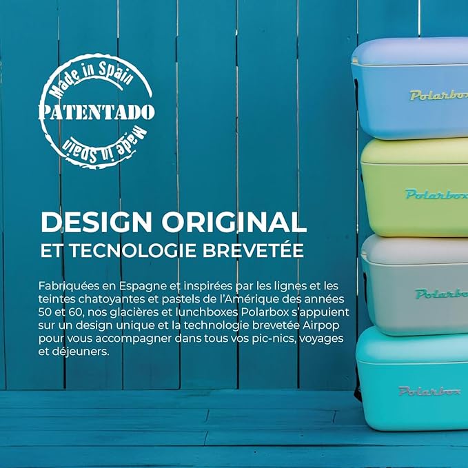 Retro Beach Cooler Vintage Picnic Lunch Box Bag Portable Cooler Travel Camping Hiking 90s Style Ice Chest