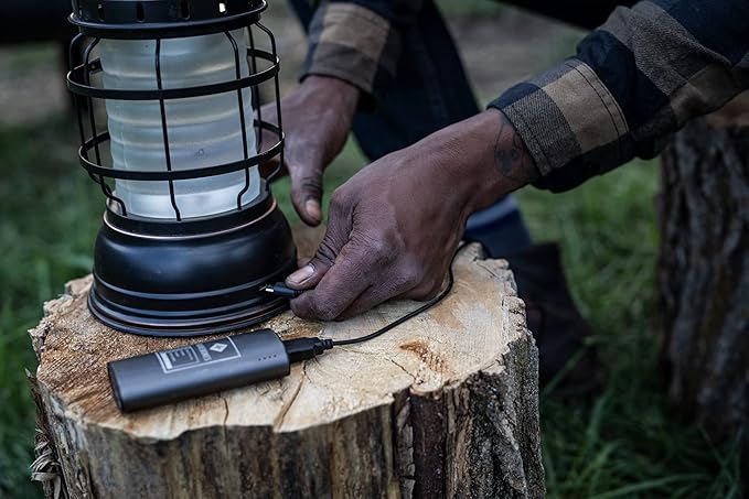 Barebones Forest Lantern – Antique Bronze, Vintage Rechargeable LED Lantern with Adjustable Brightness – Battery Operated Camping Light for Outdoor Adventures, Backyard Gatherings, and Emergency Use