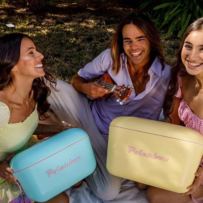 Retro Beach Cooler Vintage Picnic Lunch Box Bag Portable Cooler Travel Camping Hiking 90s Style Ice Chest