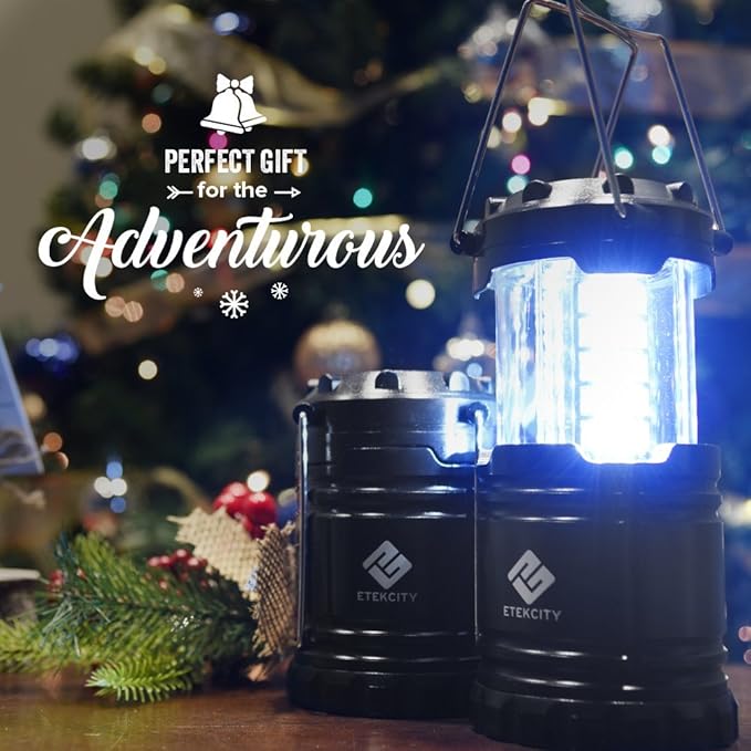 Etekcity Lantern Camping Essentials Lights, Led Flashlight for Power Outages, Tent Lights for Emergency, Survival Gear and Supplies for Hurricane, Battery Operated Lamp, 2 Pack, Black