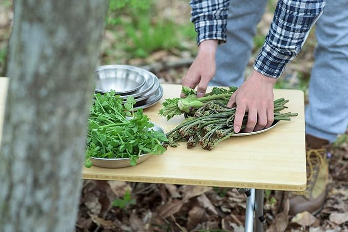 Snow Peak Single Action Camping Table, Portable Dining and Game Outdoor Table - Low