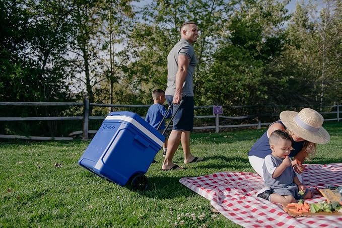 Igloo Cooler with Wheels, Profile II 28 Qt Hard Sided Ice Chest - Portable Insulated Container with Leak-Proof Design for Outdoor Use