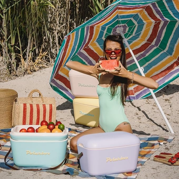 Retro Beach Cooler Vintage Picnic Lunch Box Bag Portable Cooler Travel Camping Hiking 90s Style Ice Chest