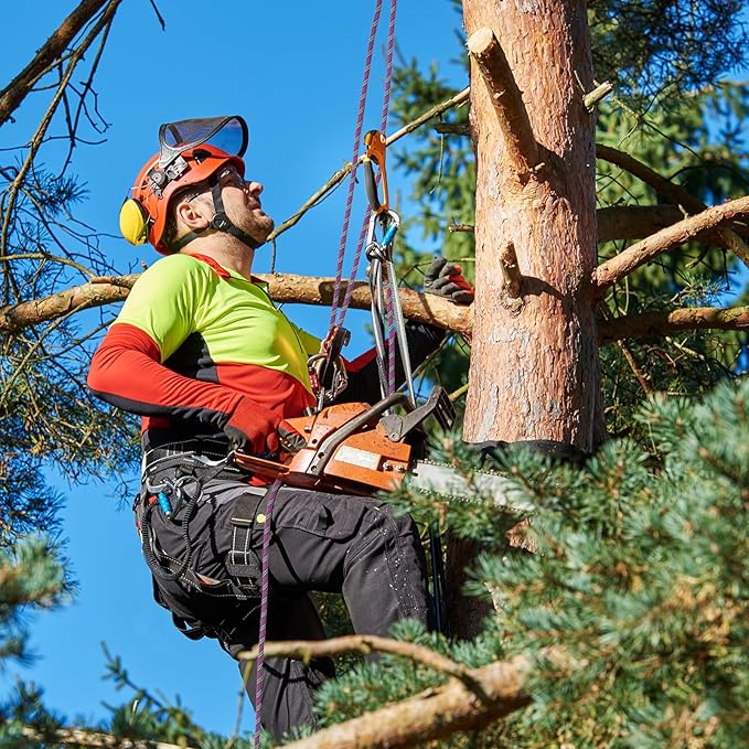 Arborist Rope Tree Climbing Rope 1/2 Inch 48 Strands Bull Rope for Construction Climbing Swing Sailing