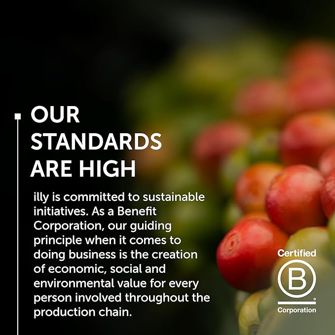 Illy Whole Bean Coffee, Decaffeinated - Medium Roast - Mild & Balanced - 100% Arabica - Whole Beans - Pressurized Packaging Sealed for Freshness - 8.8oz can (Pack of 12)