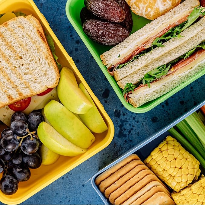 PATIKIL 11"x8"x3" Insulated Lunch Bags, Portable Food Containers Bag Flat Bento Bags Reusable Thermal Lunch Pail for Men and Women, Blue