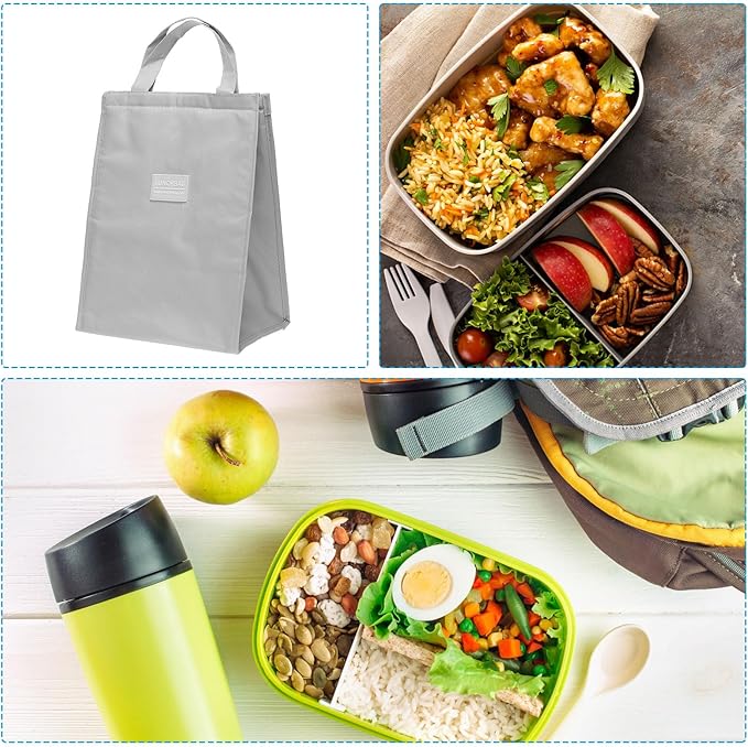 PATIKIL Insulated Lunch Bags, 10"x6"x13" Reusable Bento Bags Thermal Lunch Tote Portable Food Containers Bag for Men and Women, Grey