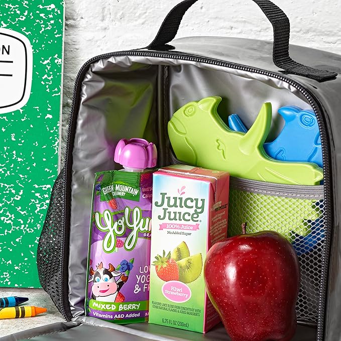 Cool Coolers Kids Lunch Box Ice Packs, Slim Ice Packs for Lunch Bags, Lunch Ice Packs Reusable-Multicolored 4 Pack (Dinosaur)