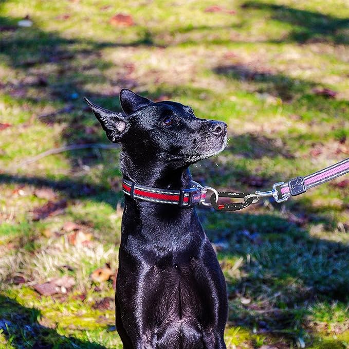 12kN (2697 lbs) Heavy Duty, Locking, Auto Locking, Wiregate Carabiner Clips, for Securing Pets, Outdoor, Camping, Hiking, Hammock, Dog Leash Harness, Keychains