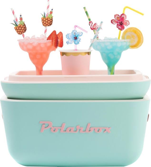Retro Beach Cooler Vintage Picnic Lunch Box Bag Portable Cooler Travel Camping Hiking 90s Style Ice Chest
