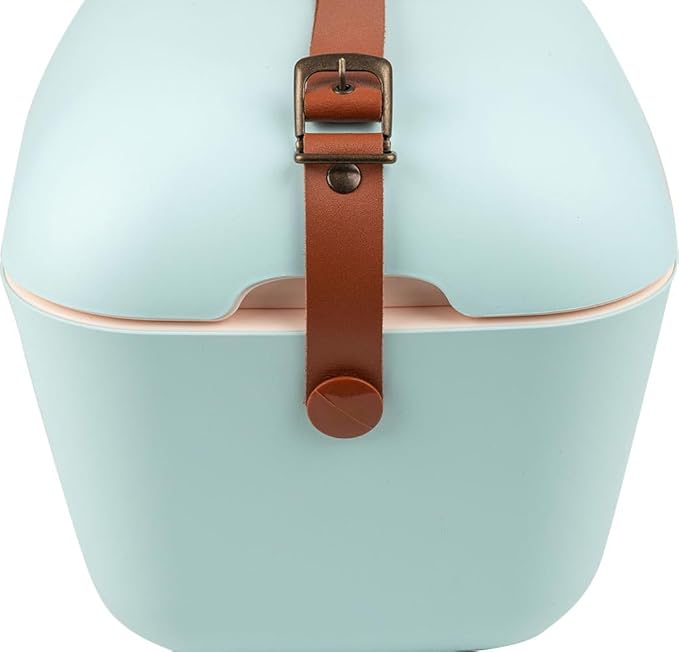 Retro Beach Cooler Vintage Picnic Lunch Box Bag Portable Cooler Travel Camping Hiking 90s Style Ice Chest
