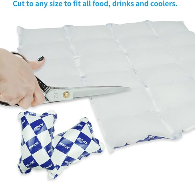 Reusable Dry Ice Packs for Shipping & Storage - Long Lasting Cold Packs for Lunch Box & Coolers - Ideal for Frozen Food & Drinks