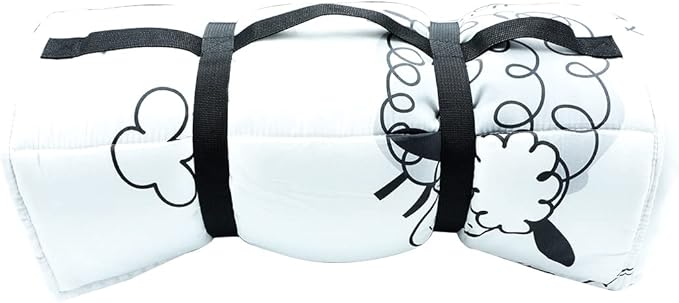 Toddlers Nap Mat with Removable Pillow and Soft Blanket, Lightweight Daycare Preschool Kindergarten Sleeping Bag, Travel Slumber for Kids Girls Boys