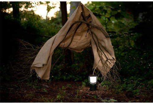 Rayovac Sportsman 3D LED Camping Lantern, 305 High Lumens, Water Resistant, Battery Powered 70 Hour Run Time, Lanterns for Camping