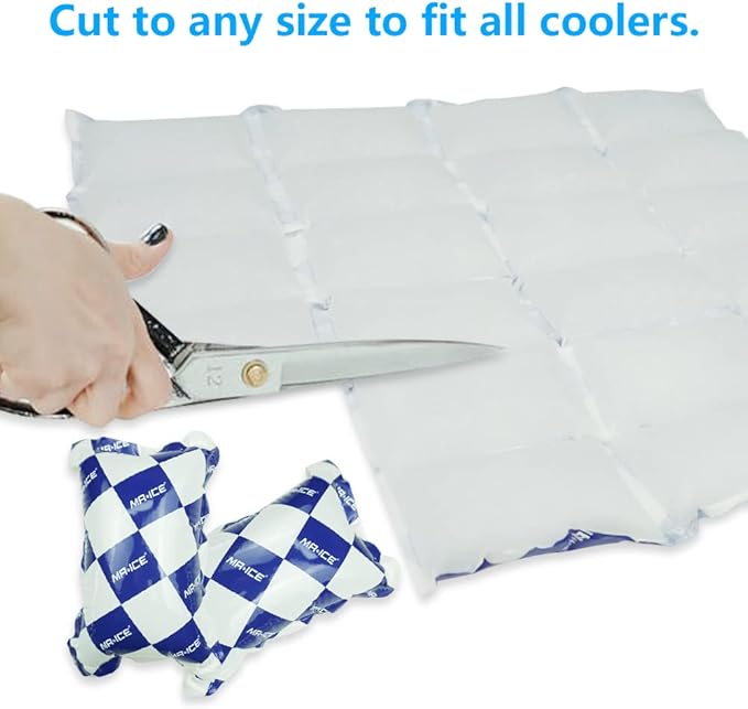 Reusable Dry Ice Packs for Shipping & Storage - Long Lasting Cold Packs for Lunch Box & Coolers - Ideal for Frozen Food & Drinks