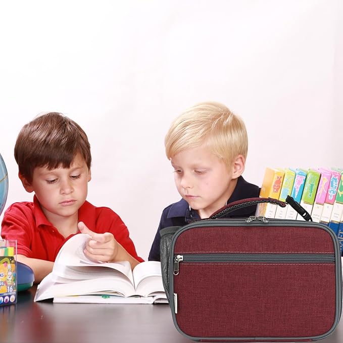 Insulated Lunch Box for School, Thermal Reusable Durable Freezable Lunch Bags for Kids Boys Girls Men Women - Small Soft Cooler Portable Lunch Tote Kit for Work Picnic Travel,Dark Red