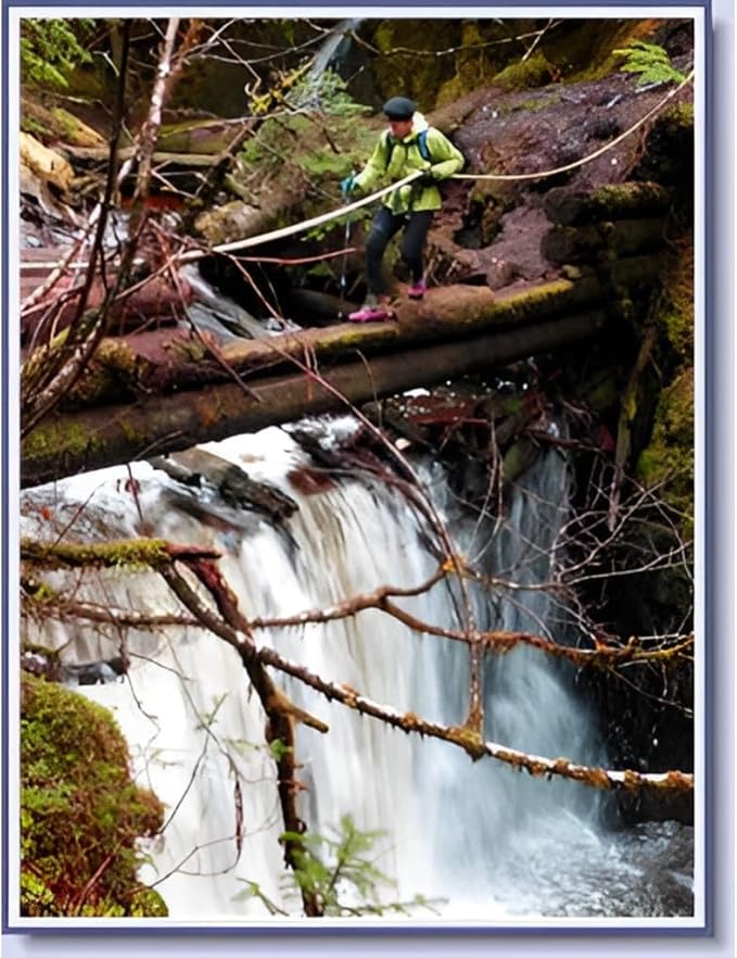 York Nordic 5 Piece Travel Walking Pole Gift Set - Folding Travel Poles, Training Videos, Water Bottle, Pedometer, Travel Bag, and Accessories