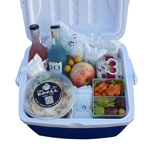 WORLD-BIO Dry Ice for Shipping Frozen Food & Travel, Long Lasting Cold Packs for Cooler 96 Packs 4.7" x 3.3", Small Freezer Packs for Shipping, Bulk Reusable Dry Ice Packs Cool Pack for Shipping