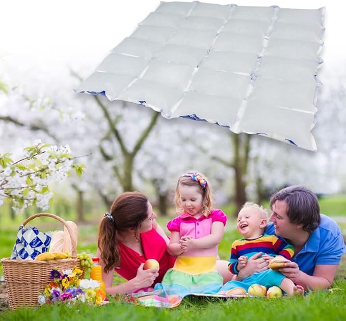 Reusable Dry Ice Packs for Shipping & Storage - Long Lasting Cold Packs for Lunch Box & Coolers - Ideal for Frozen Food & Drinks