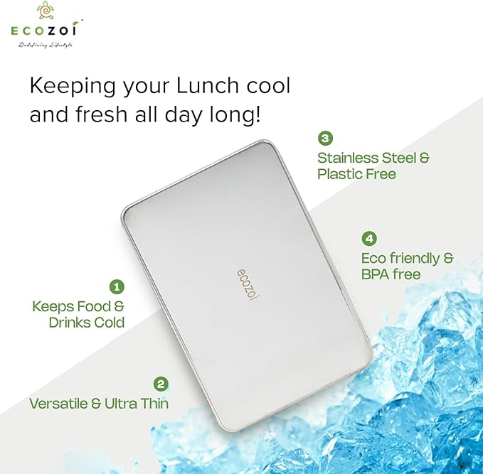 Stainless Steel Lunch Chillers - Ice Packs for Lunch Bags, Lunch Boxes, Bento Boxes and Coolers - 2 Pack, Plastic-Free and Sustainable