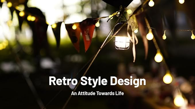 Nitecore LR40 Retro Style Rechargeable Multi Purpose LED Camping Lantern (Green Exterior) with EdisonBright Power Adapter Bundle