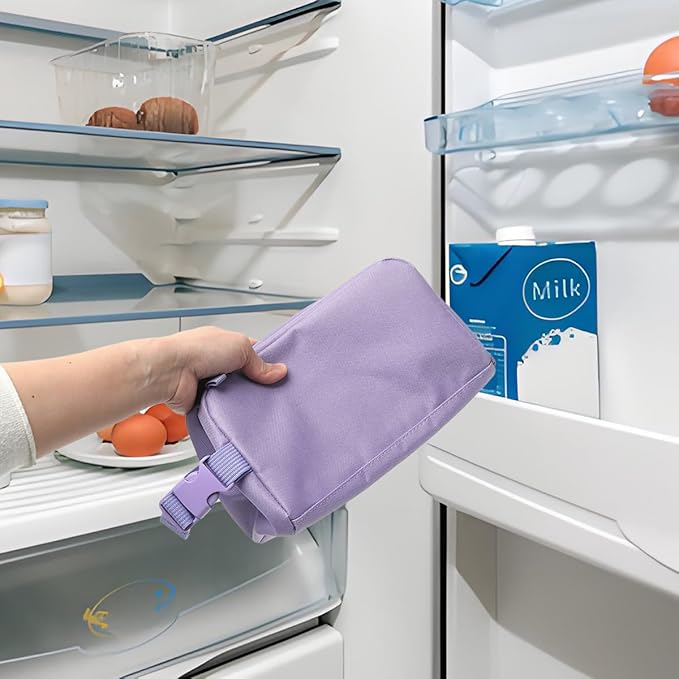 Snack Bags Mini Cooler lunch Bag Freezer Insulated Lunch Box Pouch with Buckle for Adults Work Travel,Purple