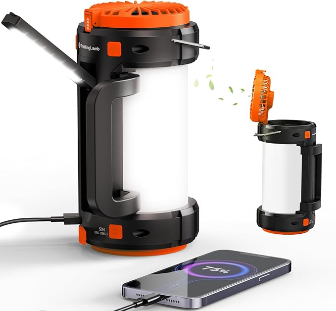 4000mAh LED Camping Lantern, Battery Powered LED with Reading Lamp, 3 Perfect Lantern Flashlight for Hurricane, Emergency, Survival Kits, Hiking, Fishing, Home