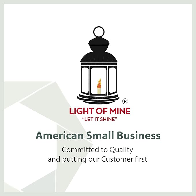 Light of Mine - Replacement Leather Washers for Coleman Lanterns - 5 Pack