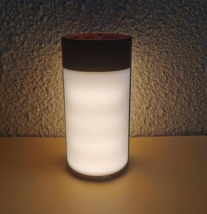 Survival Camping Lantern, Rechargeable LED Camping Lantern,62LEDs,3 Modes & SOS, Rechargeable for 4hrs, Small & Light, Emergency Light for Blackout, Hurricane Hiking Light (Black)