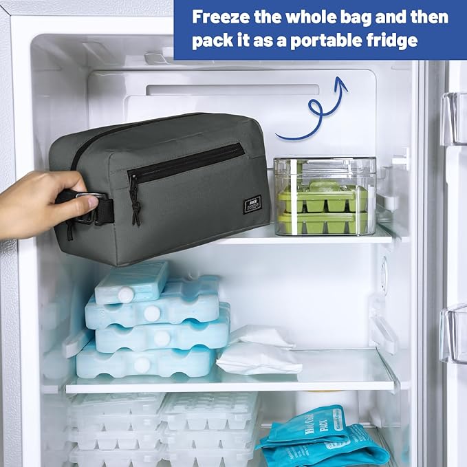 MIER Freezable Snack Bags Small Frozen Mini Cooler Lunch Bag Freezer Insulated Pouch for Adults Work Travel On-the-go,Gary