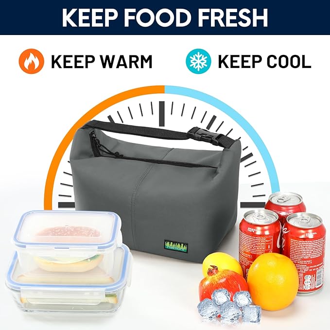 Haimont Lunch Tote Insulated Cooler Bags, Small Leakproof Lunchbox with Handle Buckle, Practical Food Medicine Meal Cooler, Keep Food Fresh, Grey