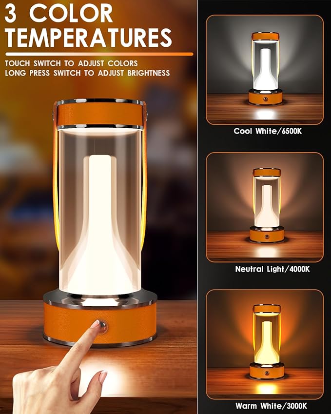 ROSHWEY Rechargeable Table Lamp, Portable Camping Lantern Dimmable Small Nightlight for Indoor Outdoor, Home Emergencey and Outages Lights, Orange Handle