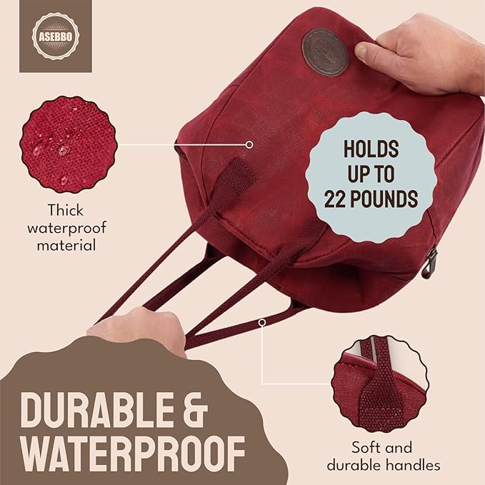 Insulated Lunch Bag for Women & Men (Passion Red)