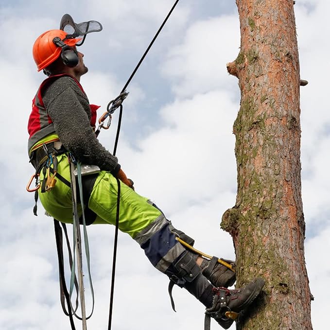 Double Braided Arborist Rope - 1/2 Inch x 50 Feet Polyester High Strength Climbing Rope for Tree Work, Halyard, Sailing