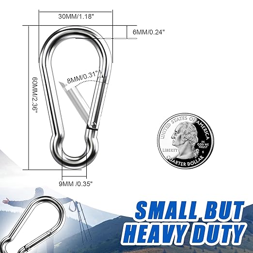 Small Carabiner Clip Hooks, 10pcs 2.36 inch Carabiners Heavy Duty, 304 Stainless Steel Spring Snap Hook Fits Camping Hiking, Metal Clips for Rope Chain Keys Rings