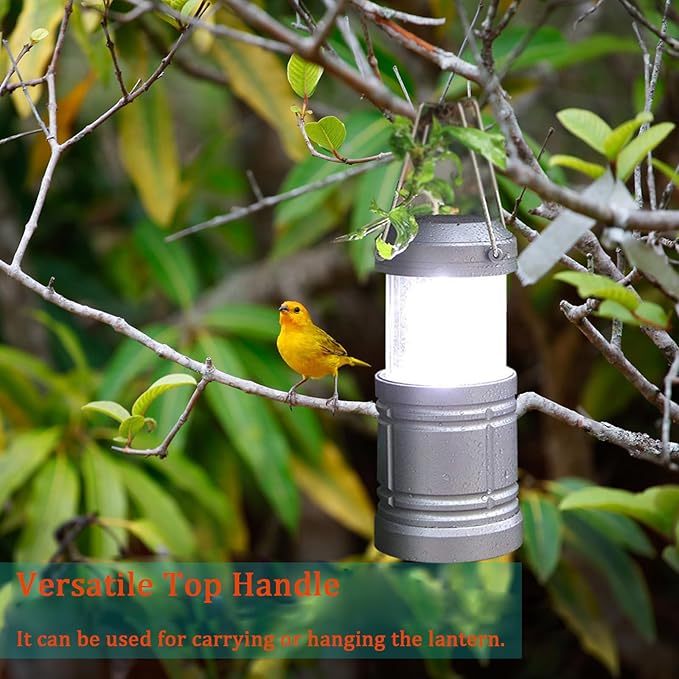 LED Camping Lantern ,500 Lumens Battery Operated Portable Hanging Lanterns for Home Power Outages Hurricane Storm Camping, 4 Pack