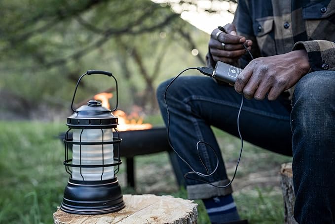 Barebones Forest Lantern – Antique Bronze, Vintage Rechargeable LED Lantern with Adjustable Brightness – Battery Operated Camping Light for Outdoor Adventures, Backyard Gatherings, and Emergency Use