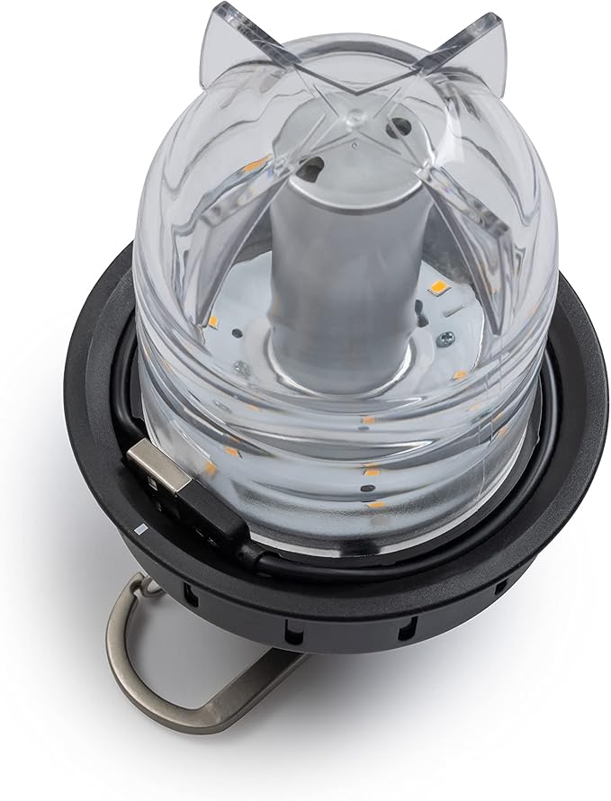 Barebones Beacon Hanging Light – Antique Bronze, Rechargeable LED Camping Lantern with Adjustable Brightness – Weatherproof Vintage-Style Hanging Lantern for Outdoor Adventures and Year-Round Use