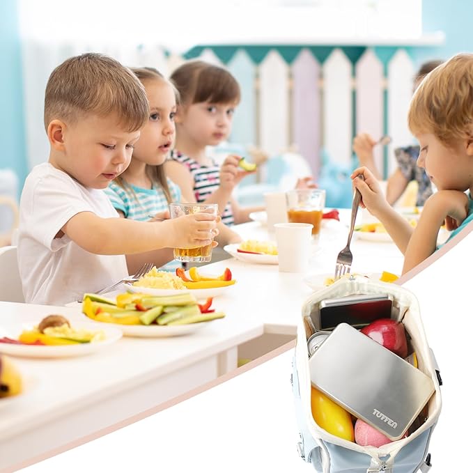 Ice Packs for Lunch Boxes, Stainless Steel Cooling Pack for Cooler, Quick Freeze Long-Lasting Reusable Ice Pack, Multi Use Cooler Accessories for Hiking, Camping and Fishing(2 Packs)